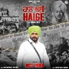 About Haige Song