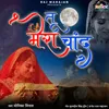 About Tu Mera Chand Song