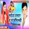 About Saiya Hamar Hawe Rajmistiri Song