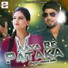 About Aaya Re Pataka Song