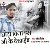 About Tora Bina Ham Ji Ke Dekhaib Song