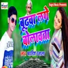 About Apna Lage Bolawata Song