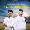 About Mera Ranjha Song