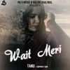 About Wait Meri Song