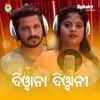 About Diwana Diwani Song