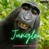 About Jungle Song