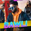 About Bawli Song