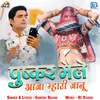 About Pushkar Mele Aaja Mhari Janu Song