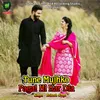 About Tune Mujhko Pagal Hi Kar Dia Song