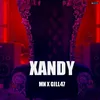 Xandy