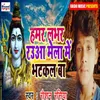 About Raua Mela Me Gayili Bhulai Song