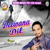 About Dil Hai Tumhara Dewanaa Song