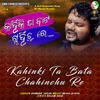 About Kahinki Ta Bata Chahinchu Re Song