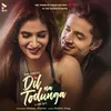 About Dil Na Todunga Song