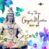 About Gayatri Mantra Beat Mix Song