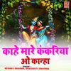 About Kahe Maare Kankariya O Kanha Song