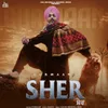 About Sher Song