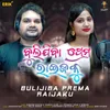 About Bulijiba Prema Raijaku Song