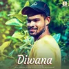 About Diwana Song