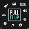 About Pull It Up Song