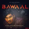 About Bawaal Hai Song