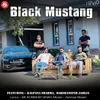 About Black Mustang Song