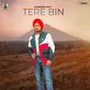 About Tere Bin Song