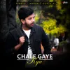 About Chale Gaye Kyu Song