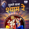 About Sunle Baba Shyam Re Song