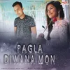 About Pagla Diwana Mon Song