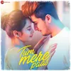 About Tum Mere Paas Song