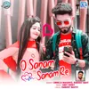 About O Sanam Sanam Re Song