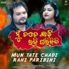 About Mun Tate Chadi Rahi Paribini Song