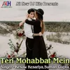 Teri Mohabbat Mein