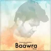 About Baawra Song