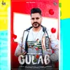 About Gulab Song