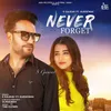 About Never Forget Song