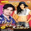 About Teri Chikni Kamar Song