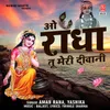 O Radha Tu Meri Diwani