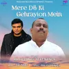 About Mere Dil Ki Gehrayion Mein Song