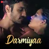 About Darmiyaa Song