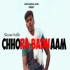 About Chhora Badnaam Song