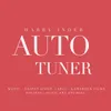 About Auto Tuner Song