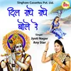 About Dil Radhe Radhe Bole Re Song