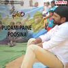 Pudami Paine Poosina