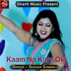 About Kaam Na Kare Ok Song