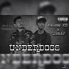 About Underdogs Song