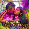 About Rangat Rahi Holiya Me Choliya Song