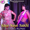 About Saye Saye Sakhi Song