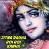 About Jitna Radha Roi Roi Kanha Song